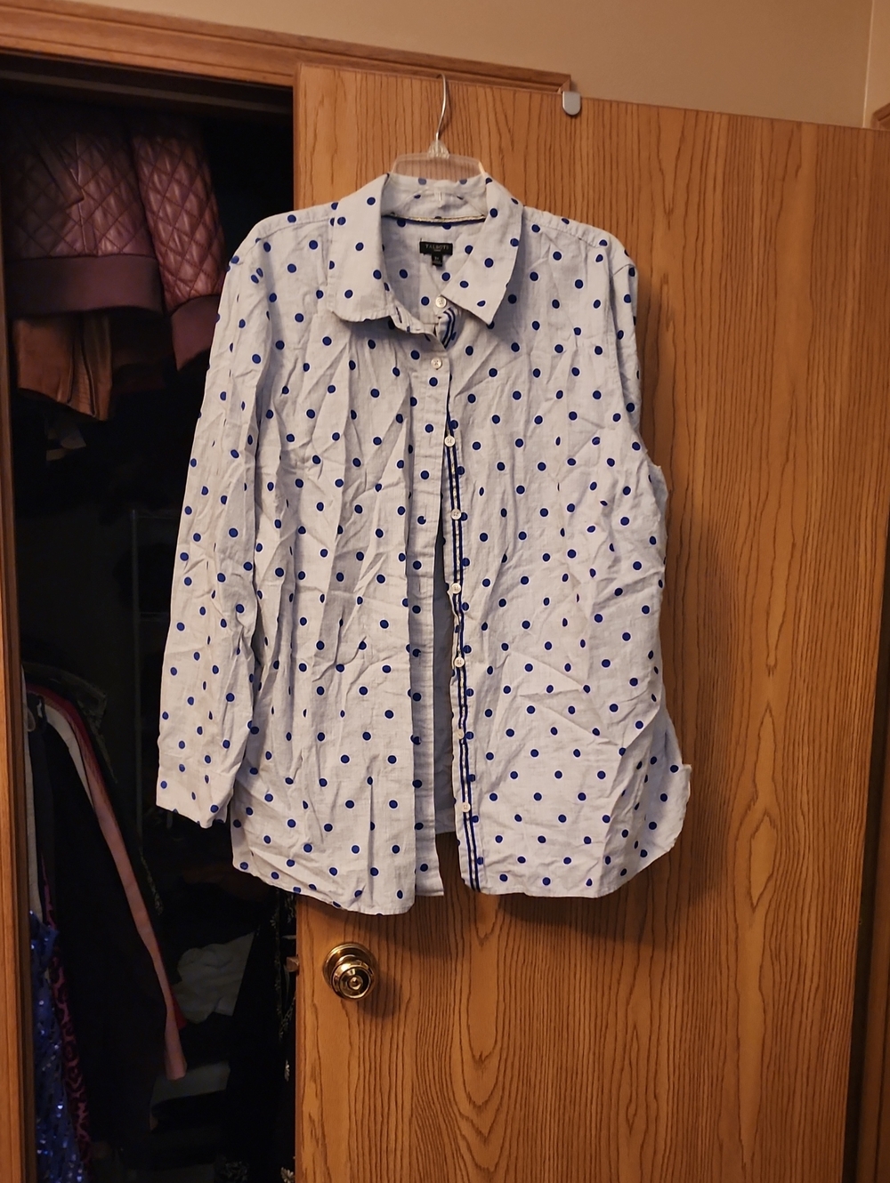 Talbots Gray Shirt with Blue Polka Dots